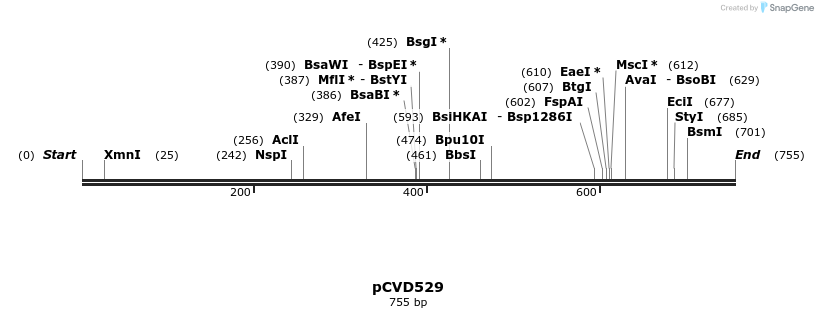 116476_map
