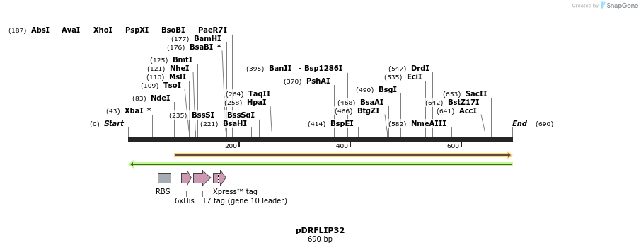 116481_map