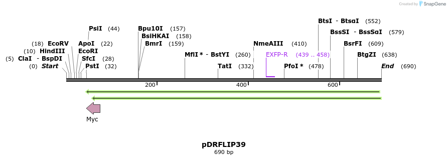 116483_map