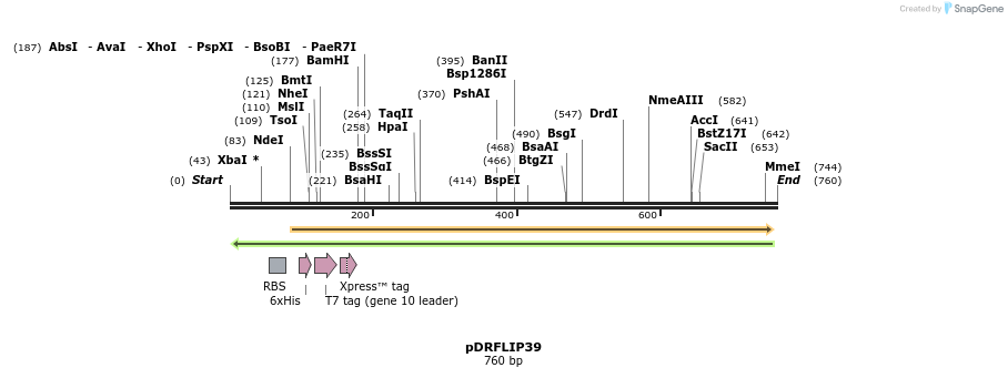 116484_map