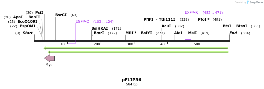 116485_map