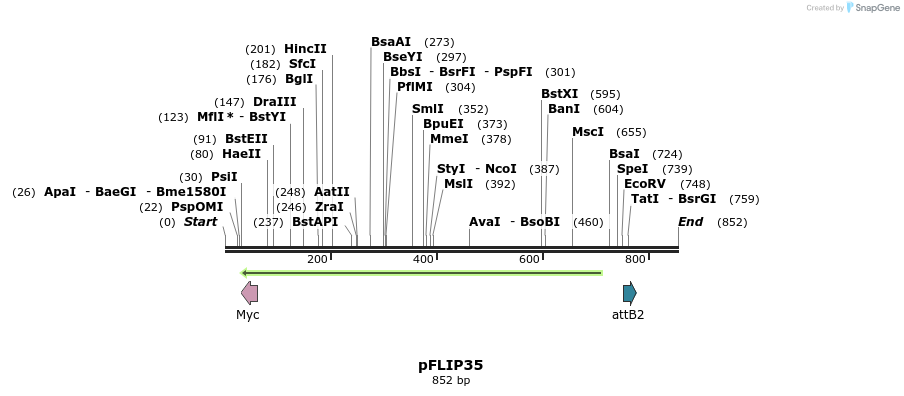 116487_map