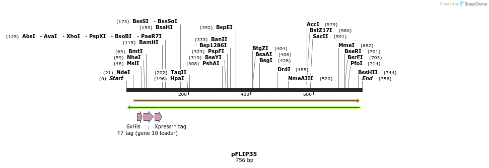 116489_map