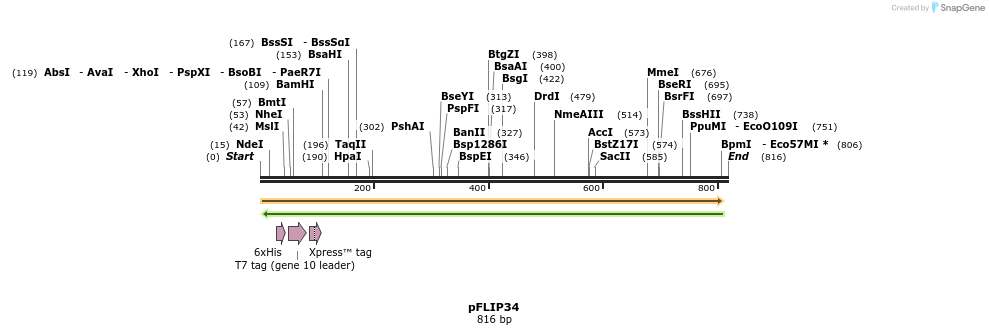 116490_map