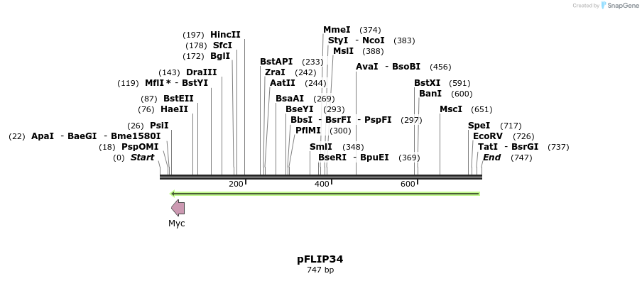 116491_map