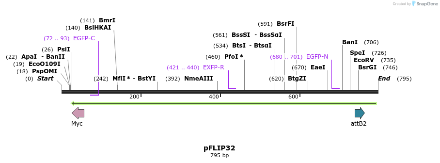 116493_map