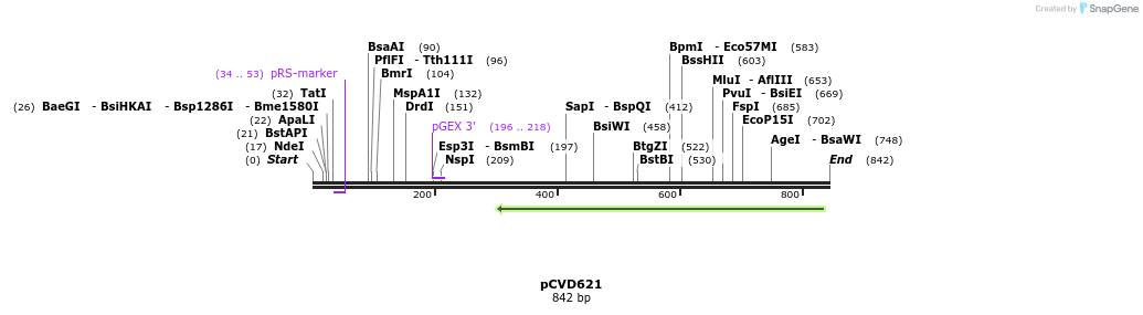 116494_map