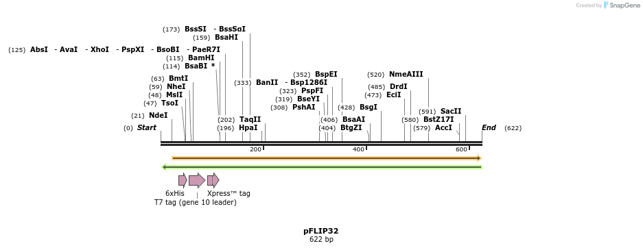 116495_map