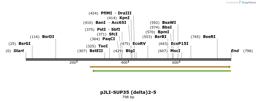116497_map