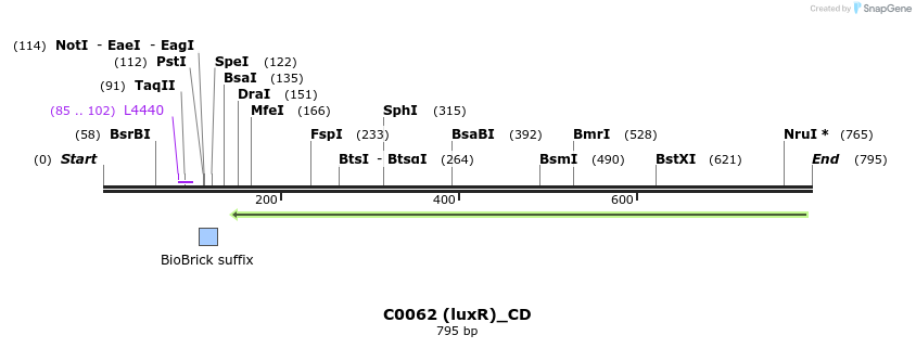 116499_map