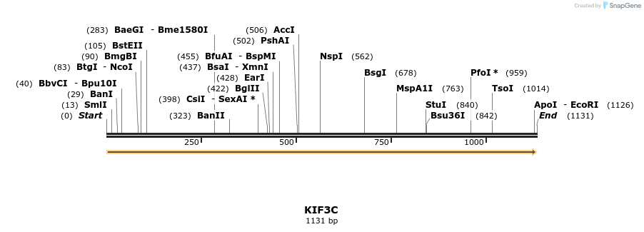 11650_map