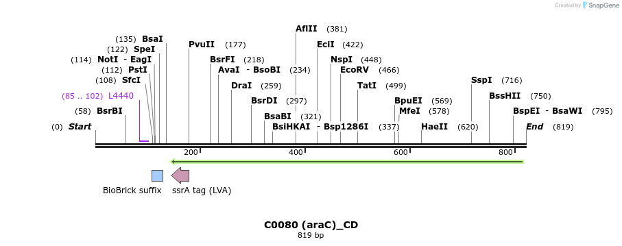 116500_map