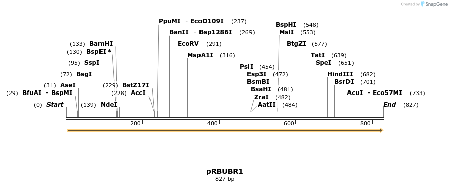 116502_map