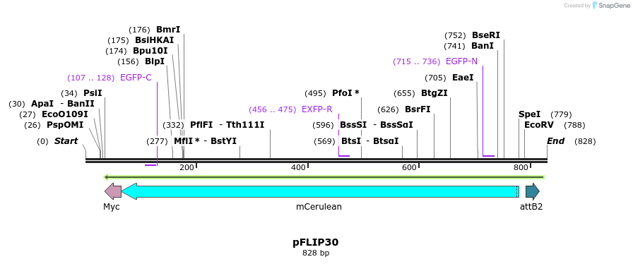 116503_map