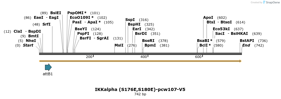 116504_map