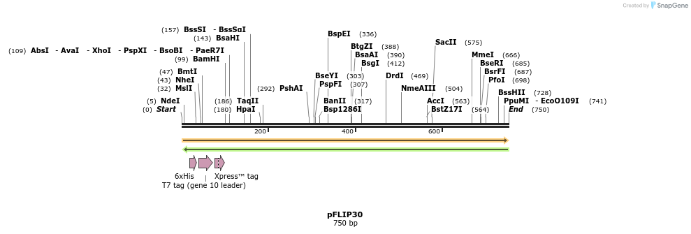 116505_map