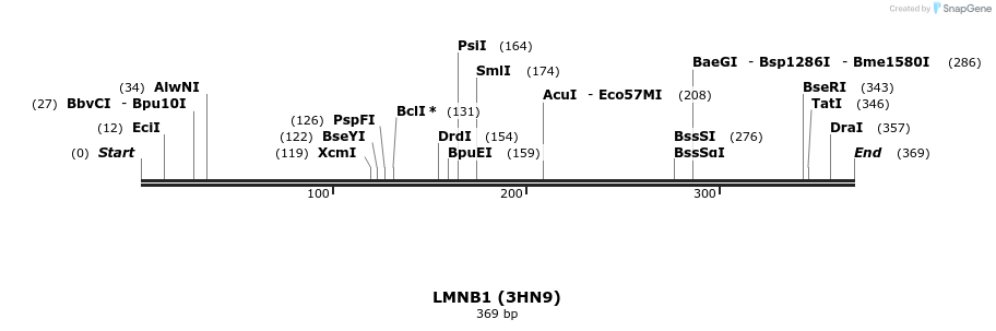 11651_map