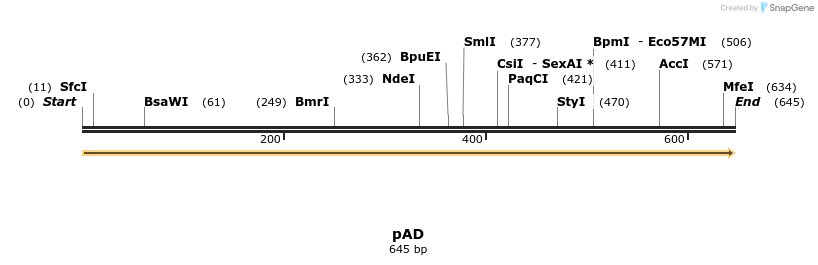 116512_map