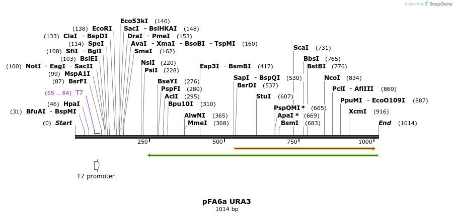 116514_map