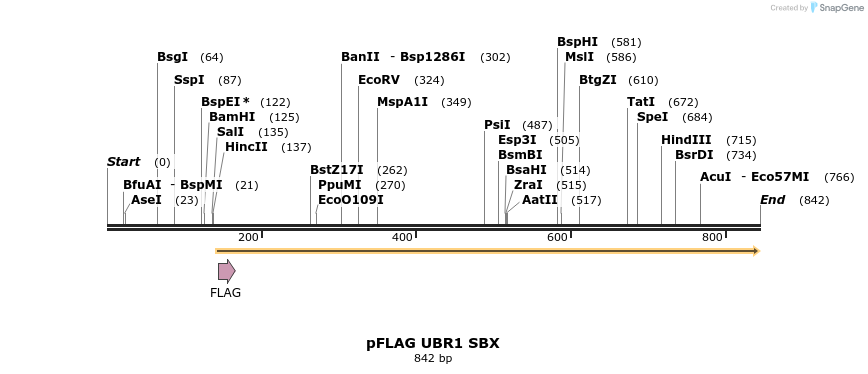 116515_map