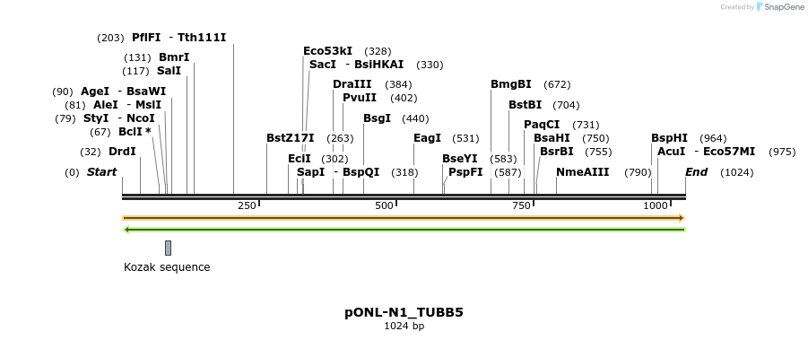 116521_map