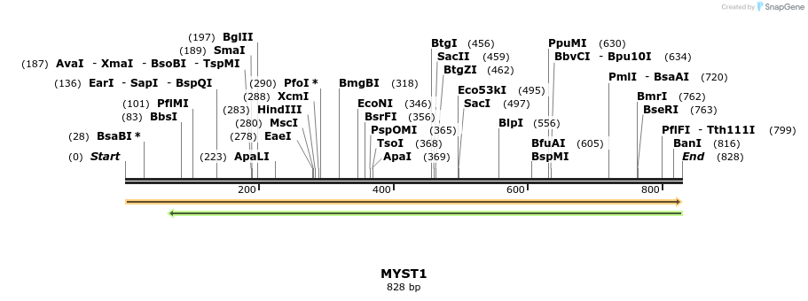 11654_map