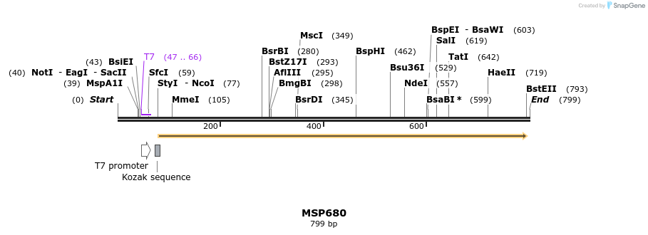 116545_map