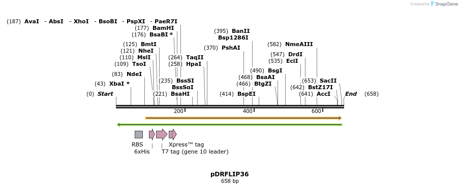 116549_map