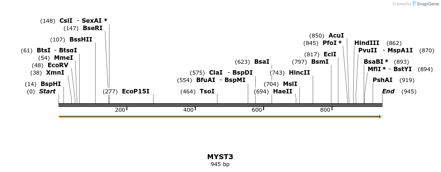 11655_map
