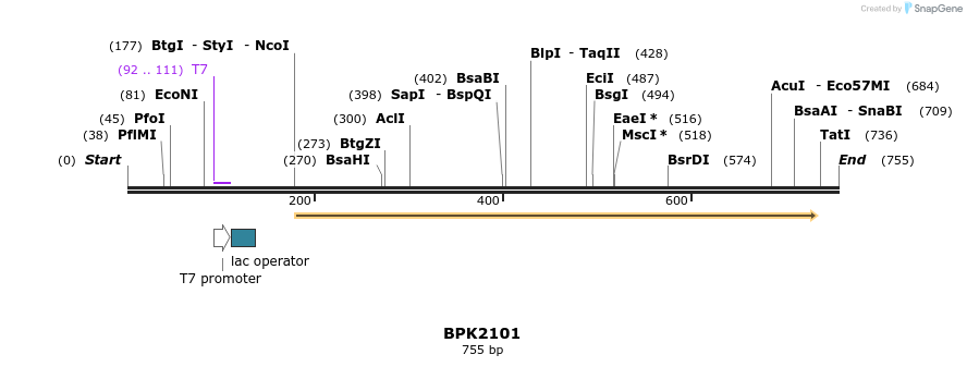 116551_map