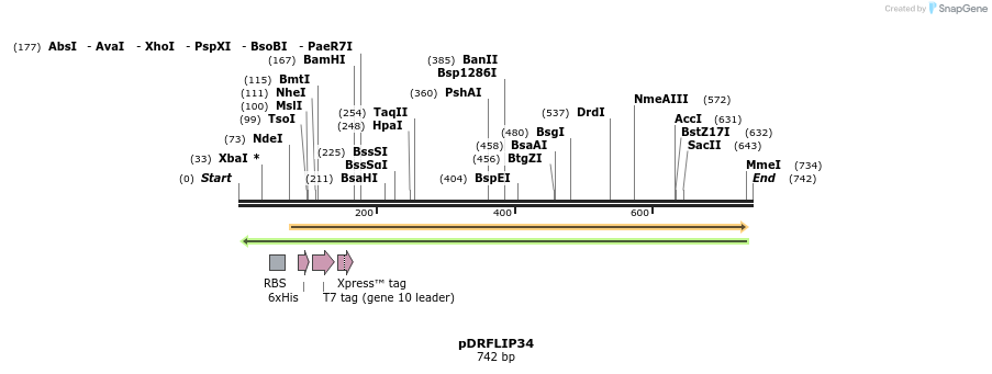 116554_map