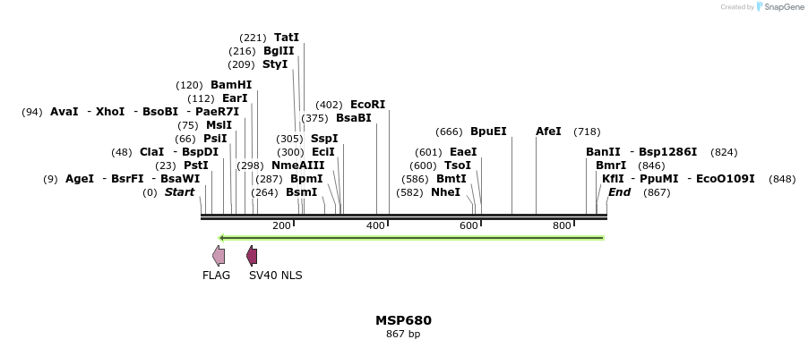 116555_map
