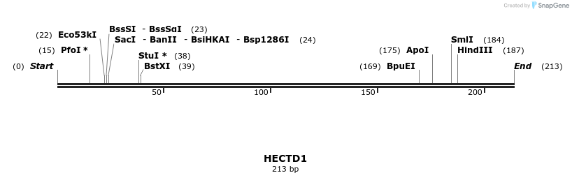 11657_map