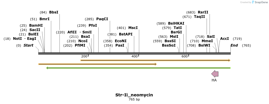 116575_map