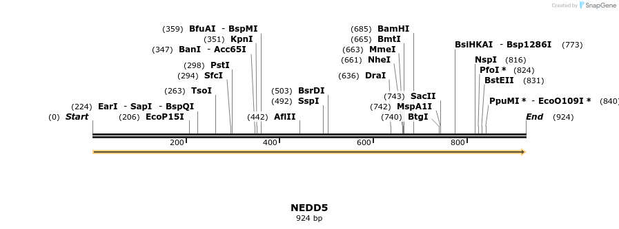 11658_map