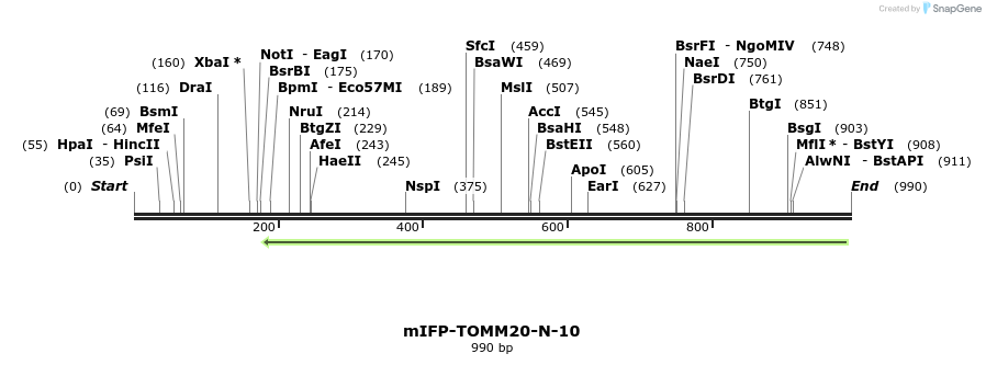 116588_map