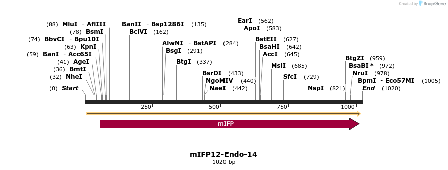 116591_map