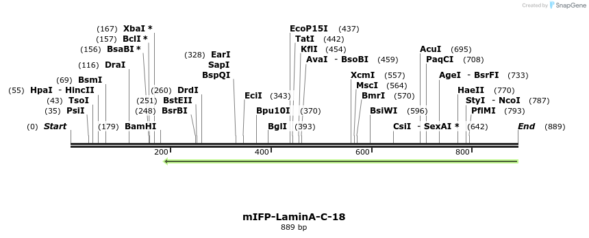116599_map