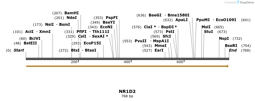 11660_map