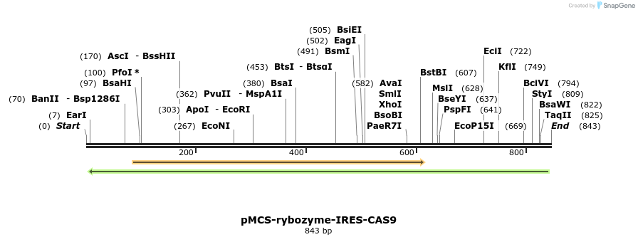116600_map