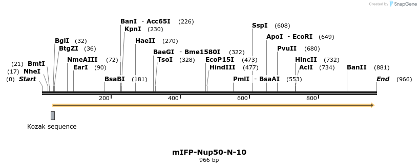 116604_map