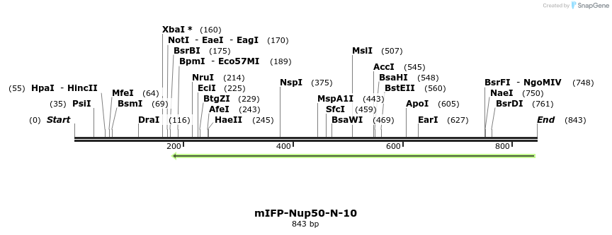 116605_map