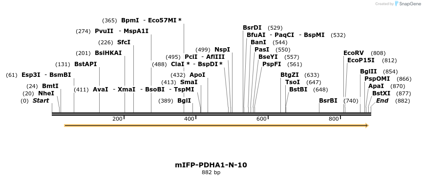 116612_map