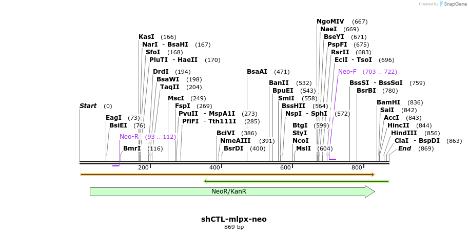 116613_map