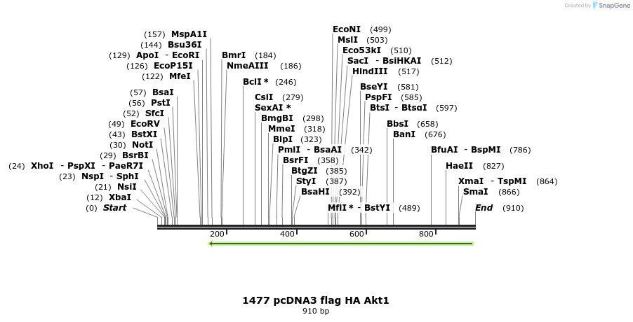 116619_map