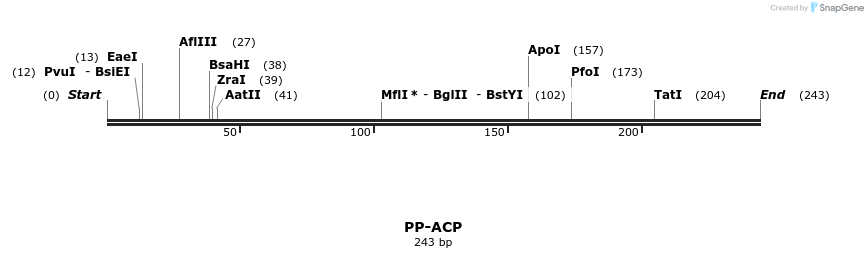 11662_map