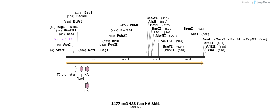 116620_map