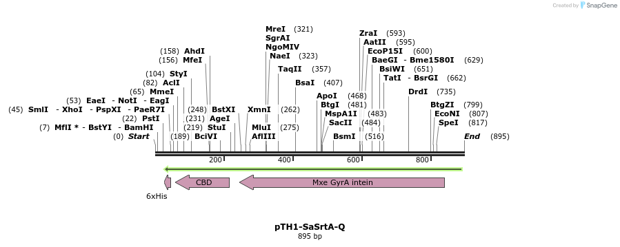 116623_map