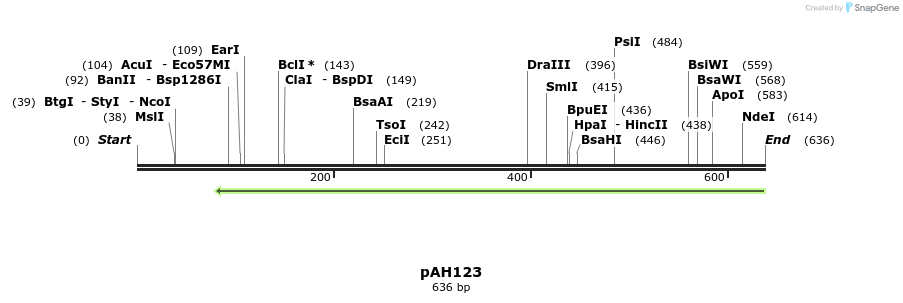 116626_map