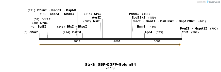116642_map